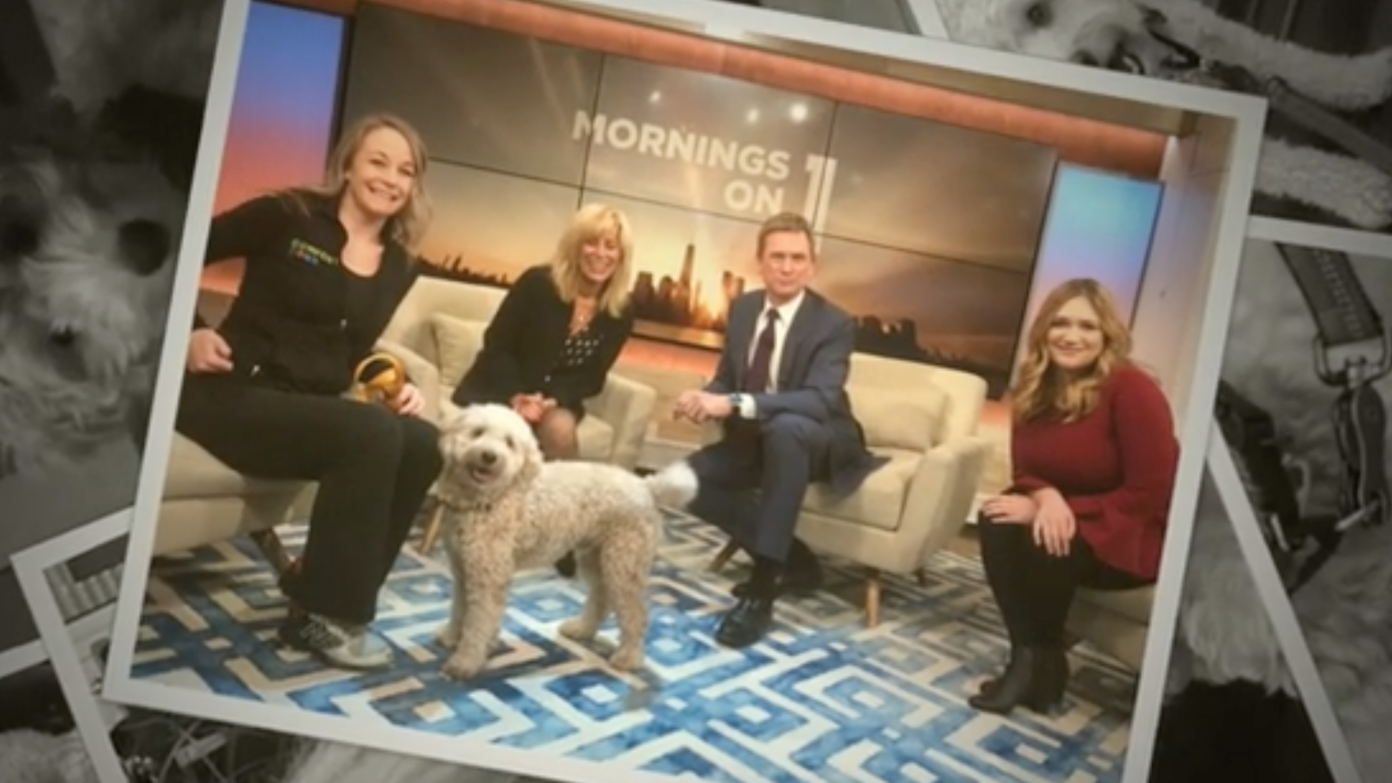 bailey and ms. mitchell on channel 11